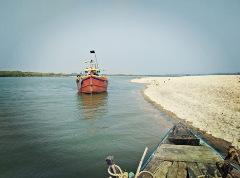 Coastal Trek: Chandipur to Talsari