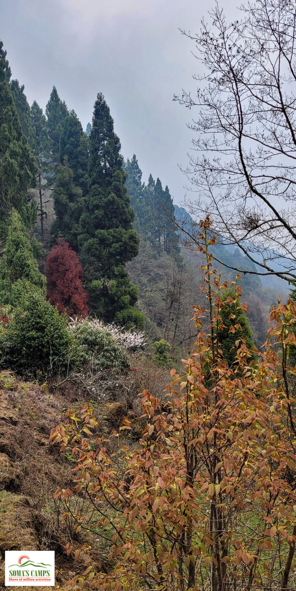 Silent Valley Trek